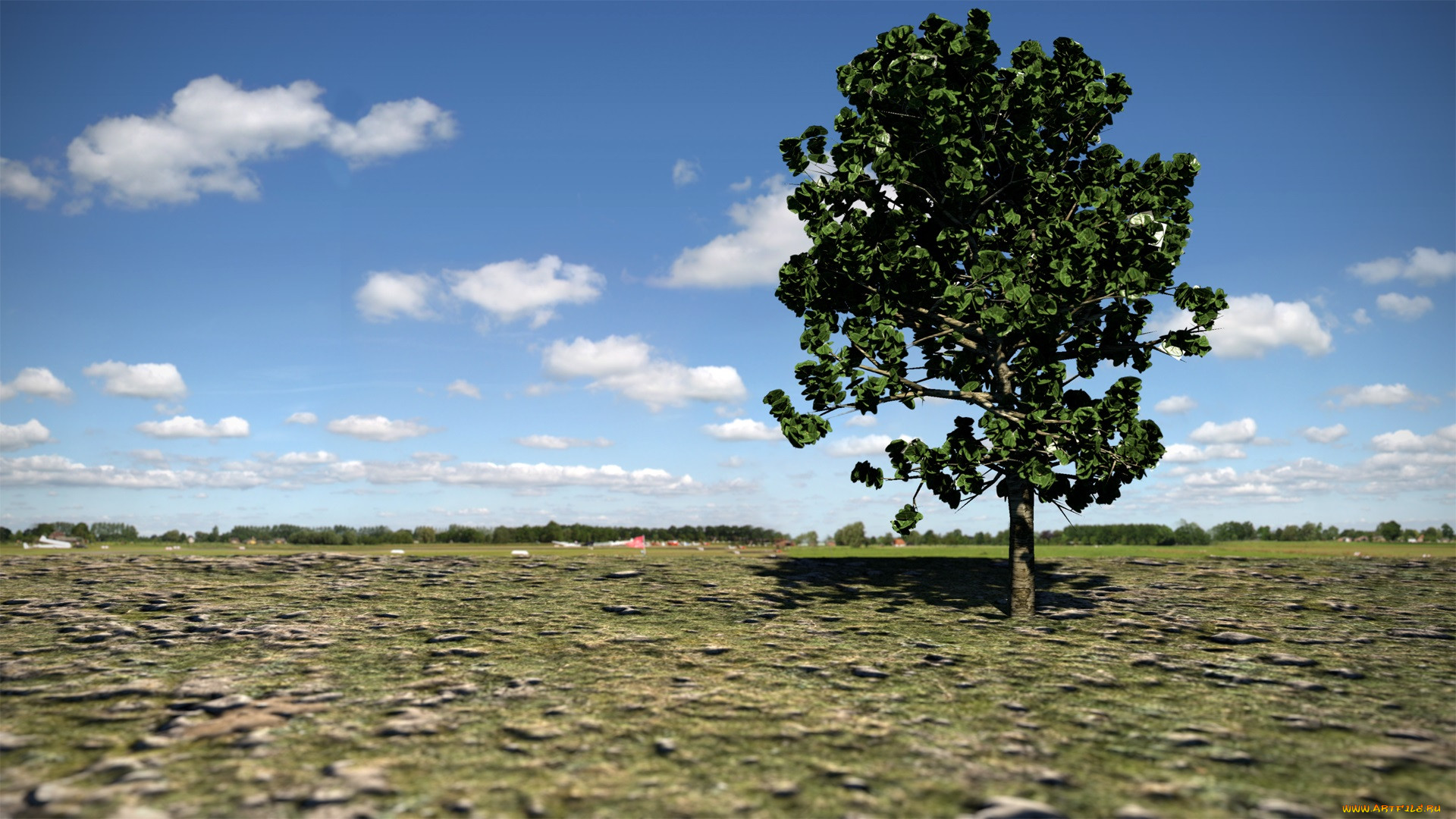 3, , nature, landscape, , , 